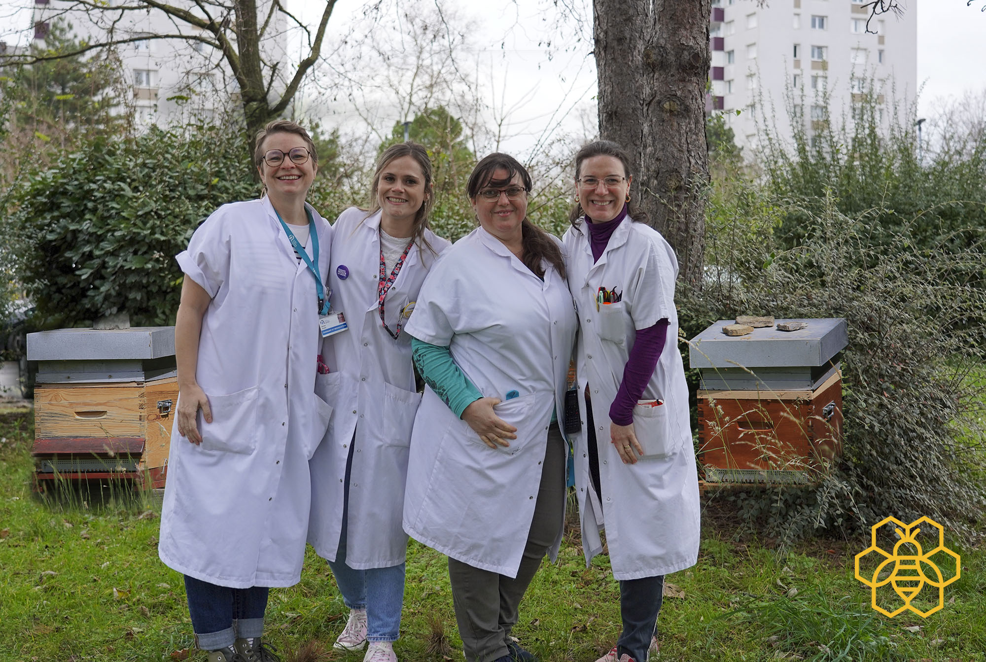 Des abeilles à l’hôpital